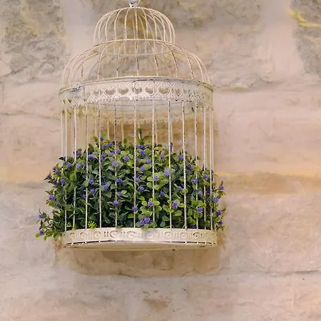 Atticus Lejlighed Split